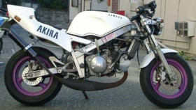 Yamaha TZM 50