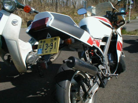 Yamaha TZM 50