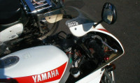 Yamaha TZM 50